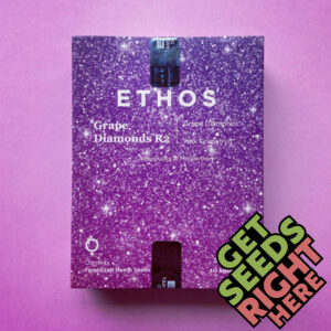 ethos grapediamonds R2 seeds, ethos seeds, buy ethos seeds online