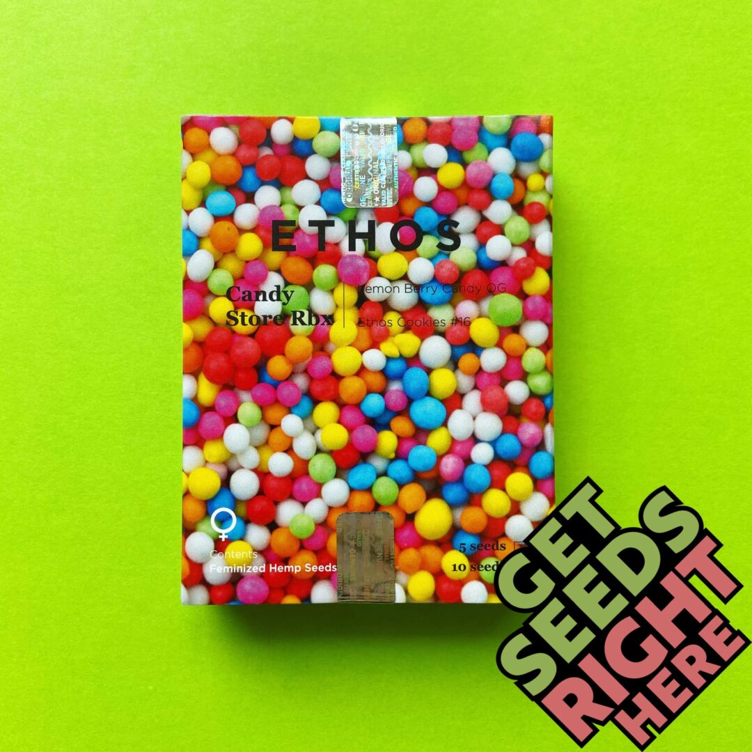 Candy Store RBx (feminized)