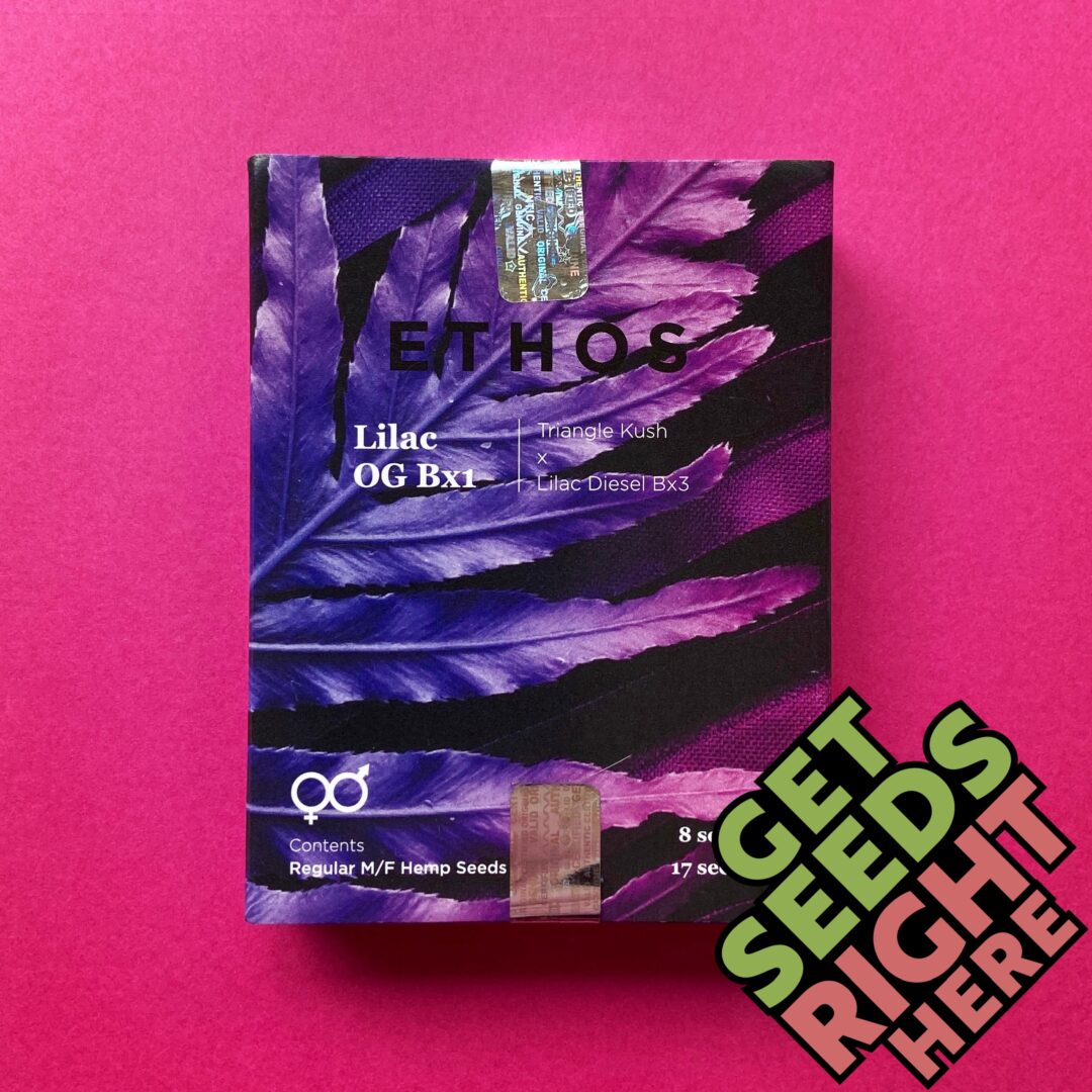 LILAC OG BX1