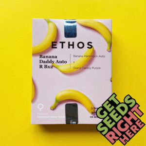 banana daddy seed pack, ethos seeds online