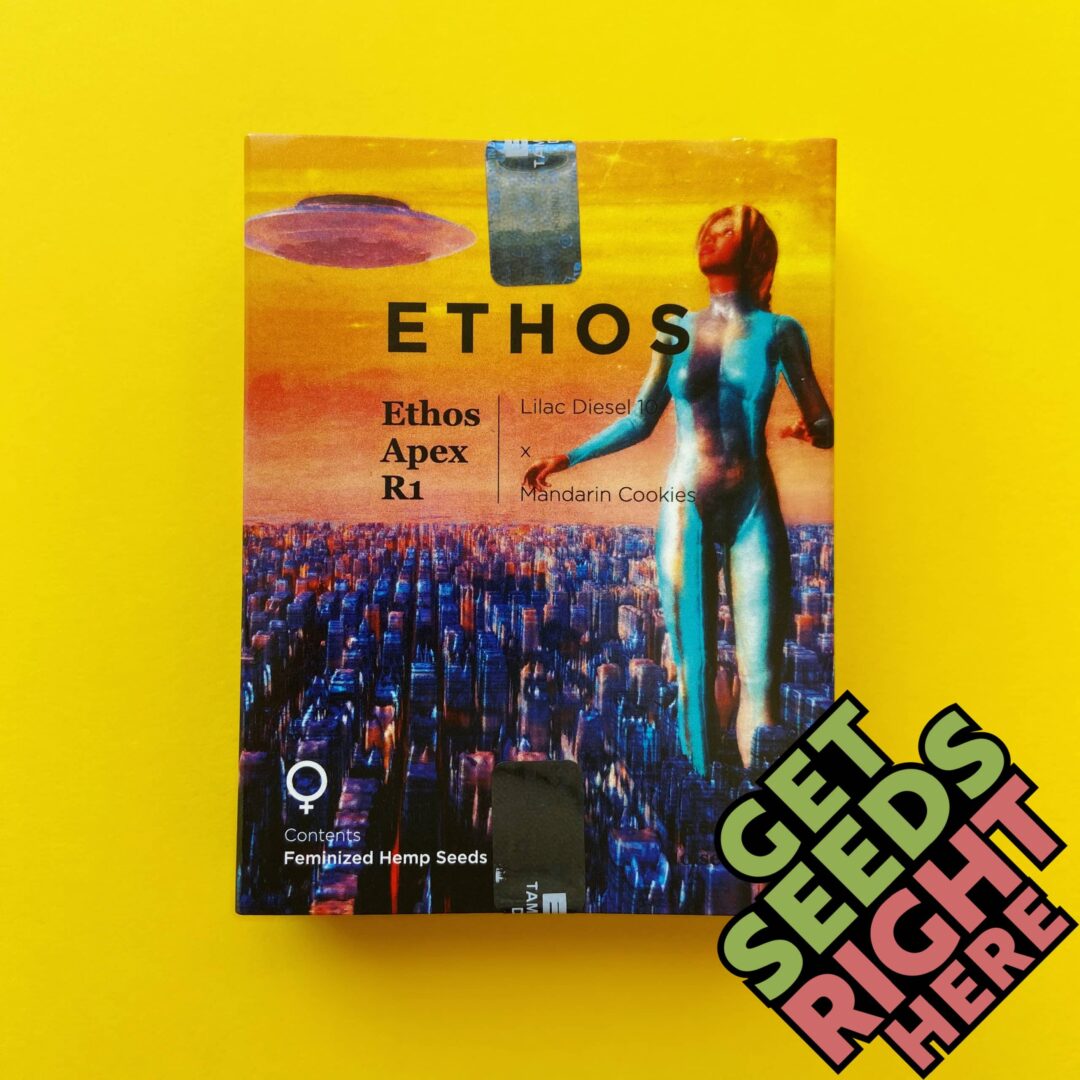 ETHOS APEX R1  (feminized)