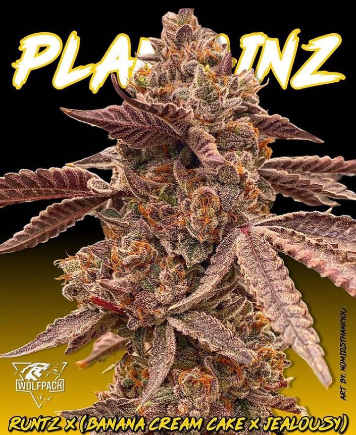 plantainZ