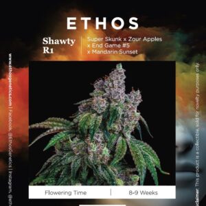 shawty r1, fem seed packs, ethos seeds, buy ethos seeds