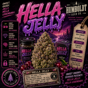 Hella Jelly Strain