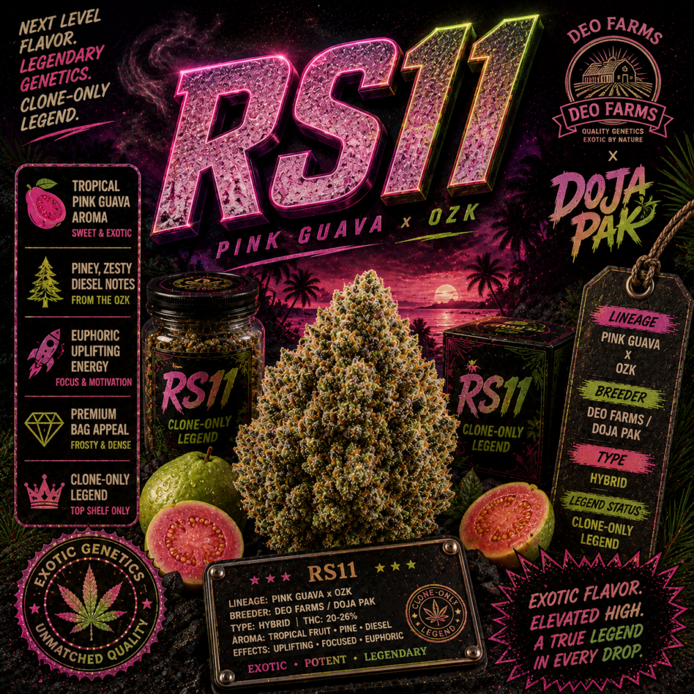RS 11 Strain