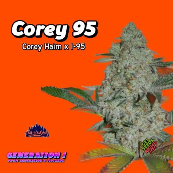 Corey 95 Cannabis Clones