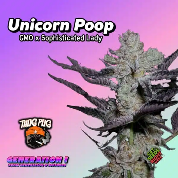 Unicorn Poop Cannabis Clones