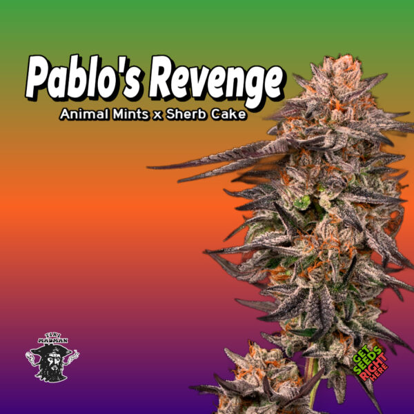 Pablos Revenge Cannabis Clones