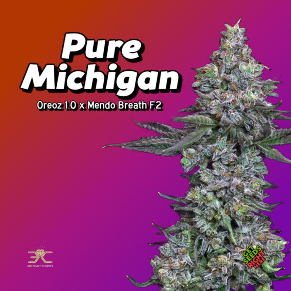 Pure Michigan Cannabis Clones