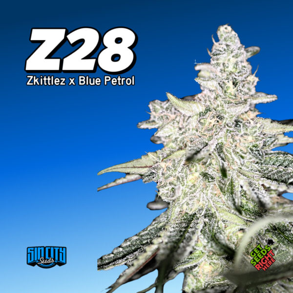 Z28 Cannabis Clones