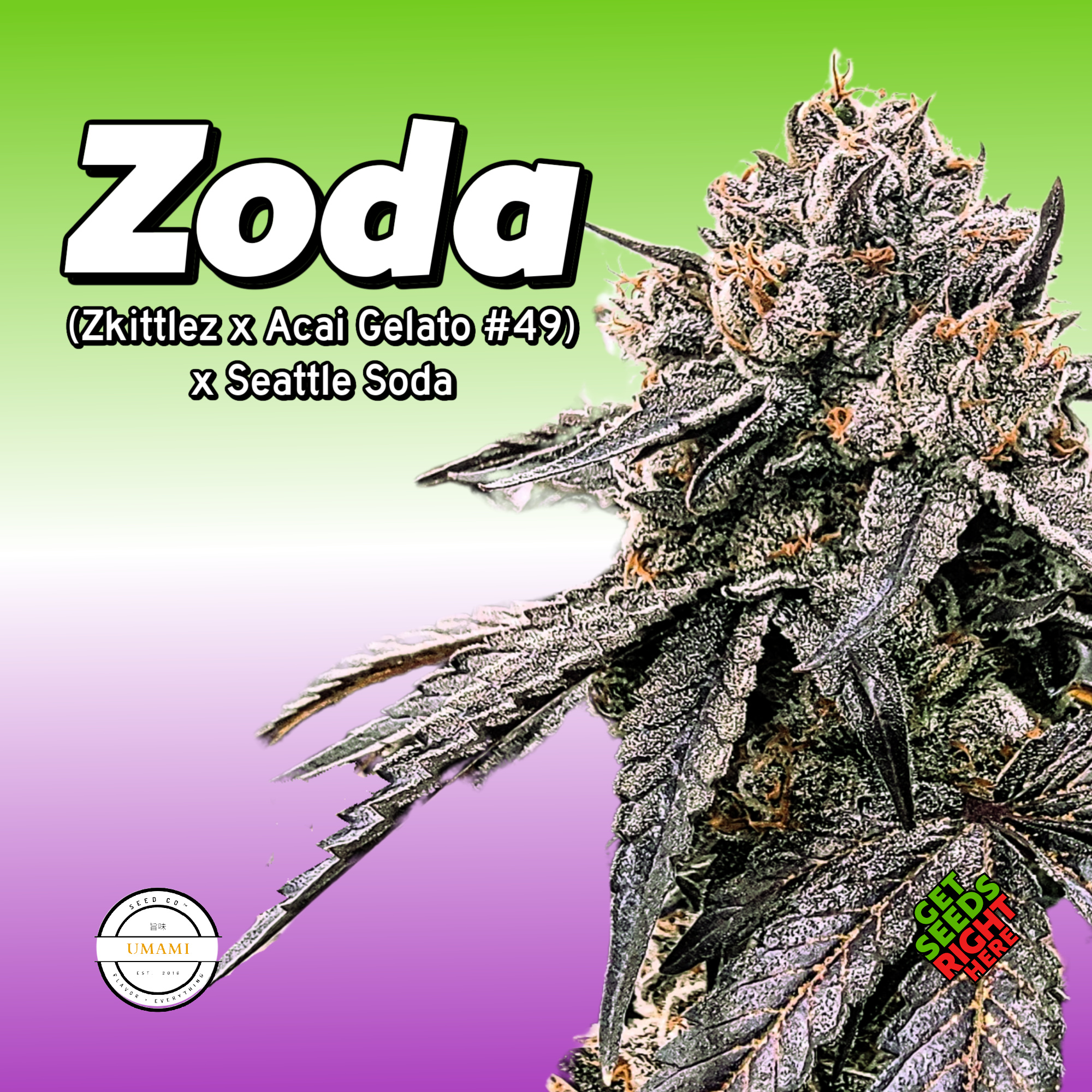 Zoda Cannabis Clones