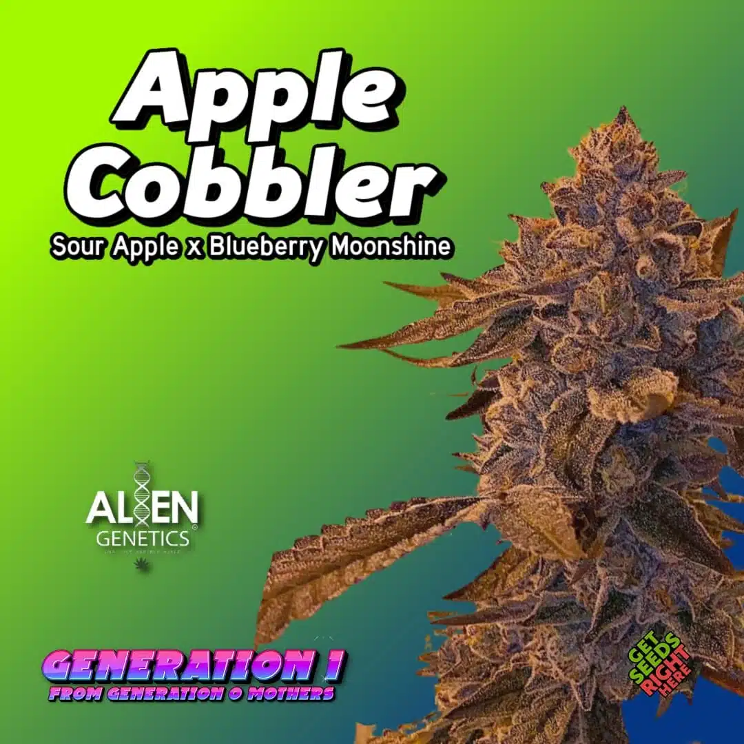 Apple Cobbler Cannabis Clones