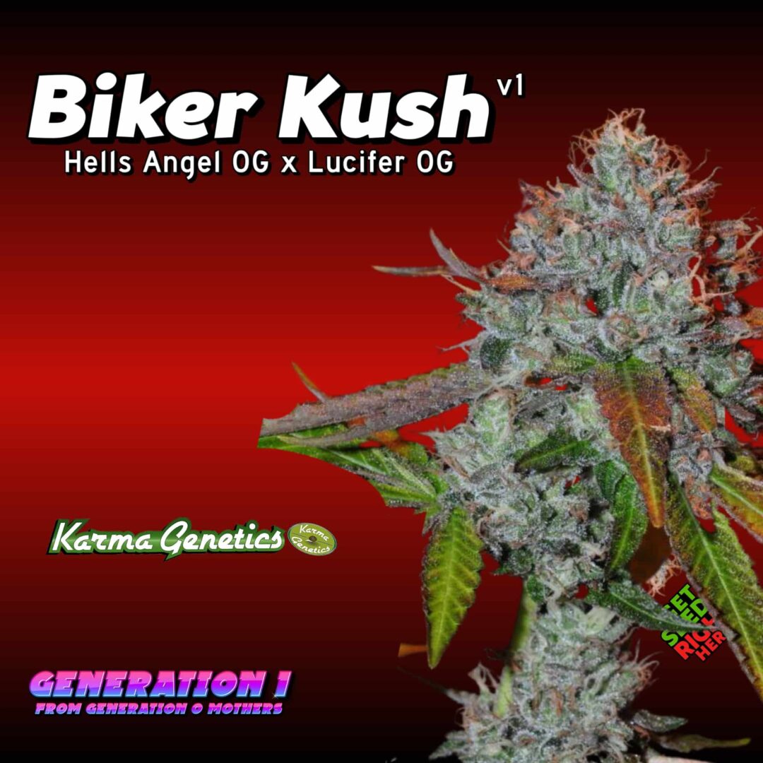 Biker Kush v1 (clone)