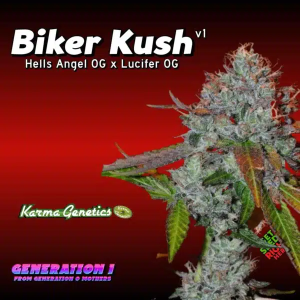 Biker Kush Cannabis Clones