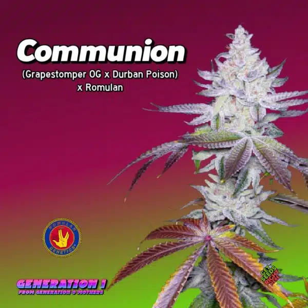 Communion Cannabis Clones
