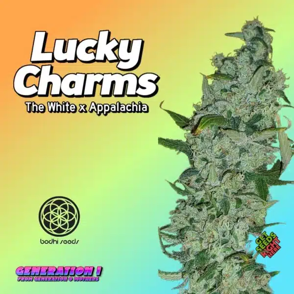 Lucky Charms Cannabis Clones