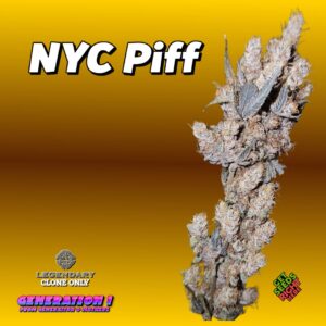 NYC Piff Cannabis Clones