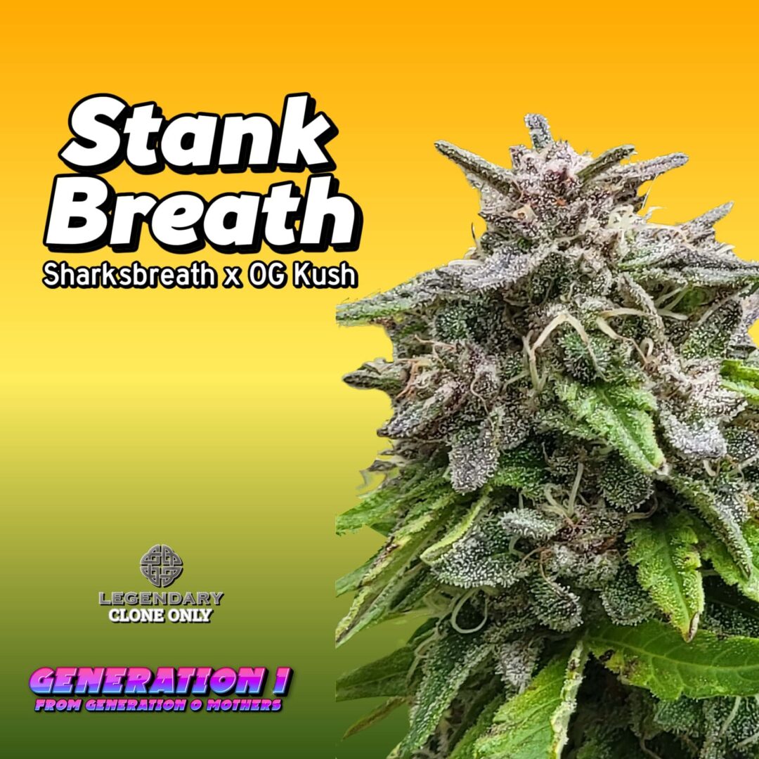 Stank Breath (clone)