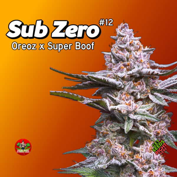 sub zero #12 cannabis clones