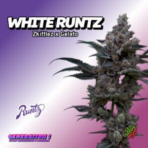 White Runtz (clone) - Get Seeds Right Here