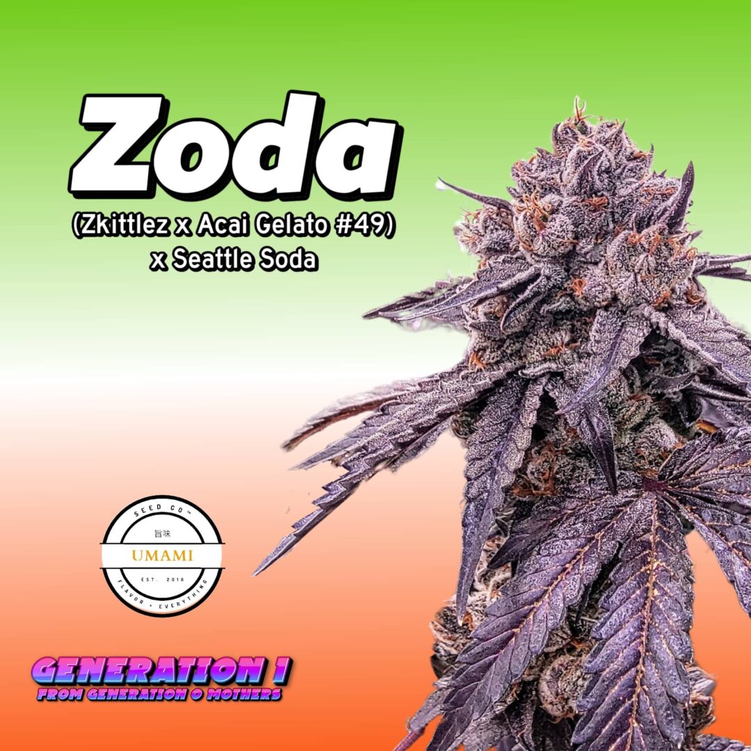 Zoda (clone)