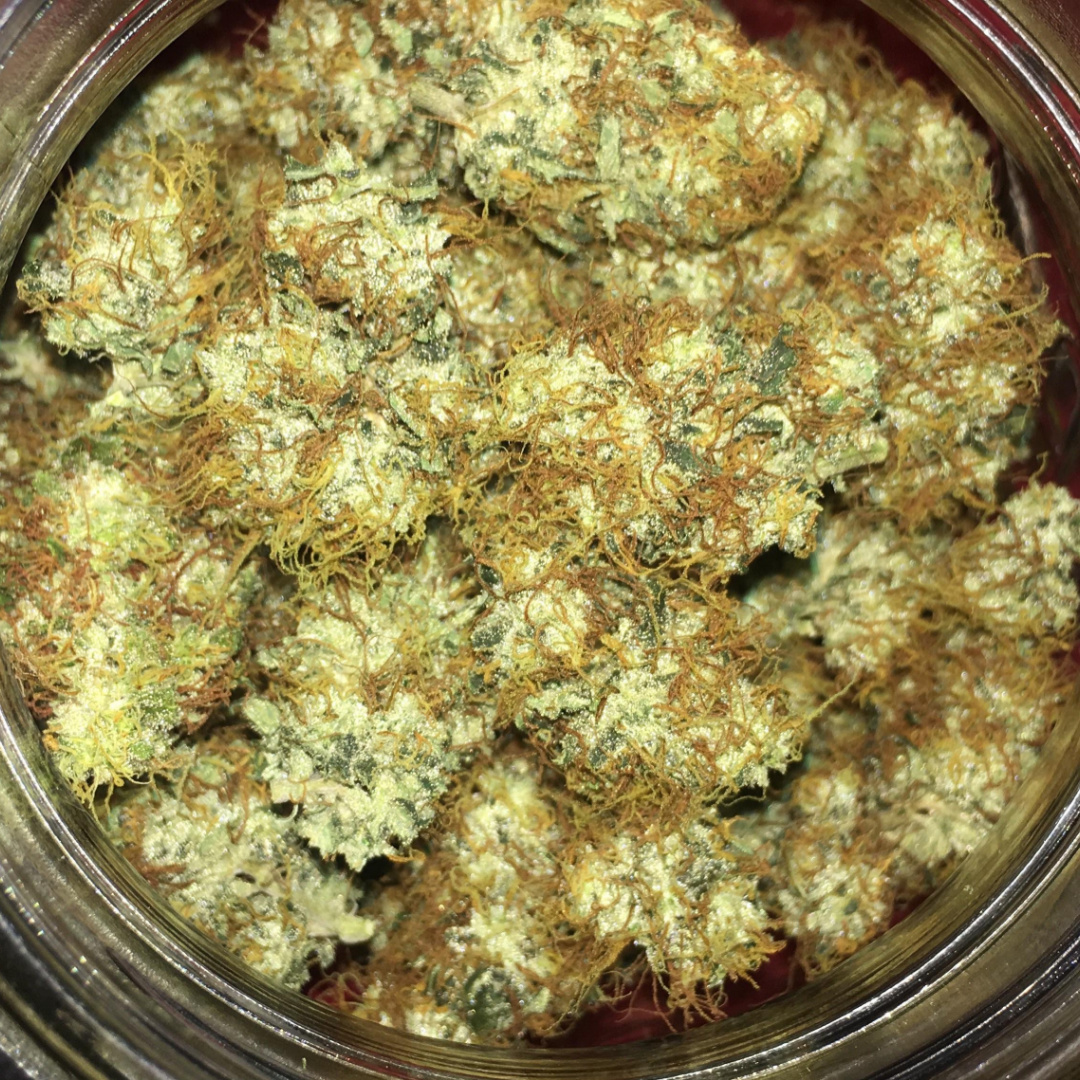 GG4 Buds