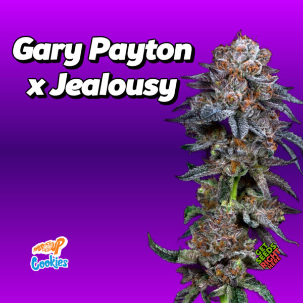 Gary Payton x Jealousy Cannabis Clones