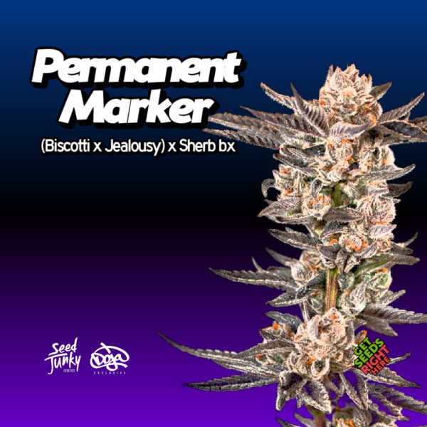 Permanent Marker Cannabis Clones