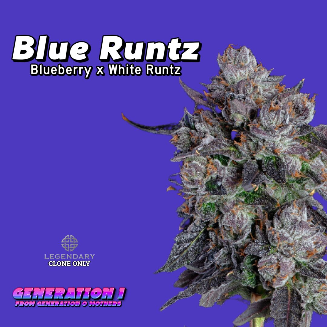 Blue Runtz (clone)
