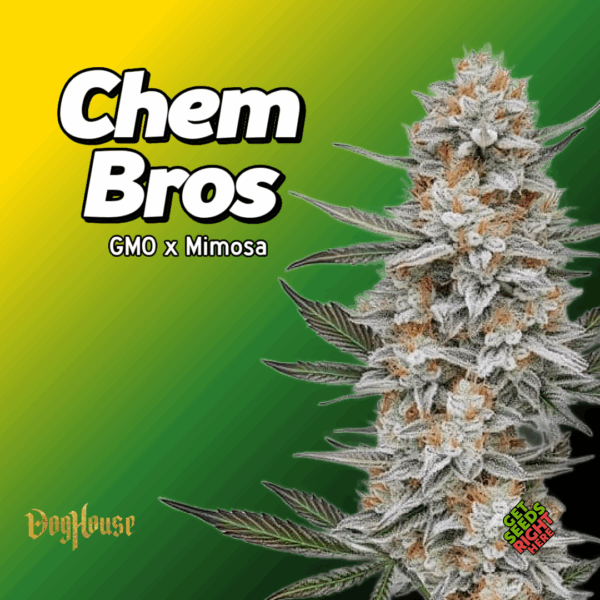 Chem Bros Cannabis Clones