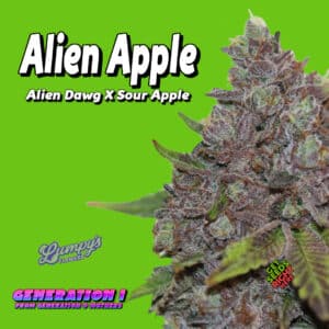 A close-up of a cannabis plant labeled "Alien Apple" against a bright green background. Text on the image reads "Alien Dawg X Sour Apple," "Generation 1 from Generation 0 Mothers," and "Lumpy's Flowers." A small logo says "Get Seeds Right Here.