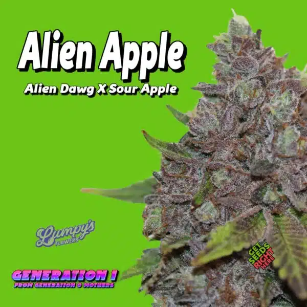 A close-up of a cannabis plant labeled "Alien Apple" against a bright green background. Text on the image reads "Alien Dawg X Sour Apple," "Generation 1 from Generation 0 Mothers," and "Lumpy's Flowers." A small logo says "Get Seeds Right Here.