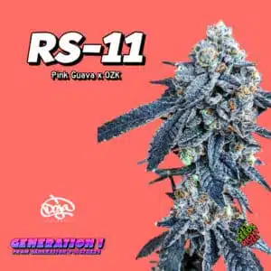 RS-11 (Clone)
