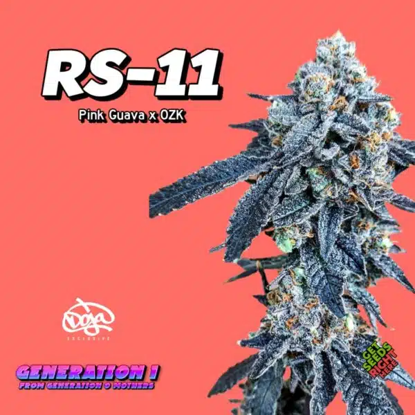 RS-11 (Clone)
