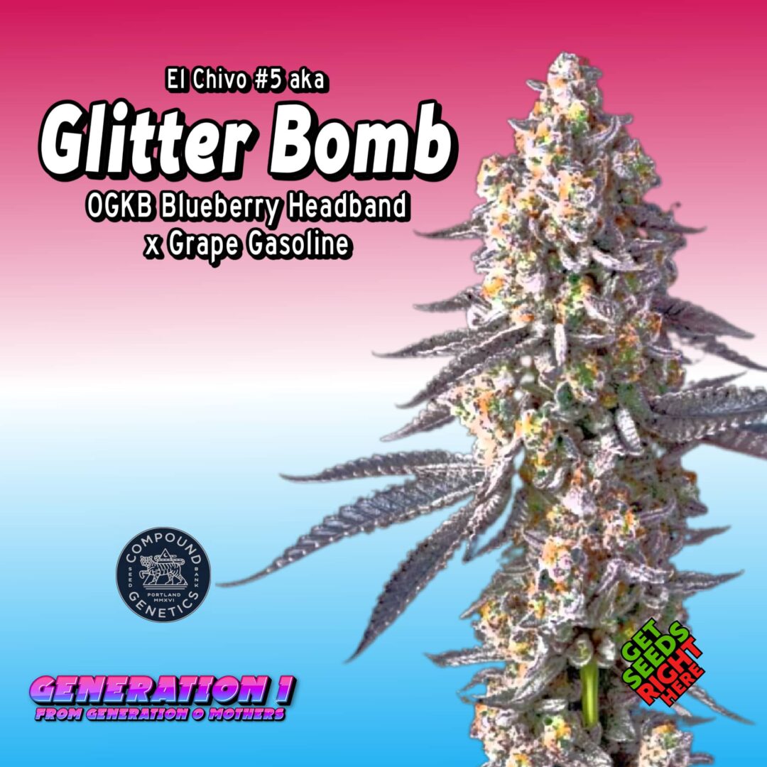 Glitter Bomb (clone)