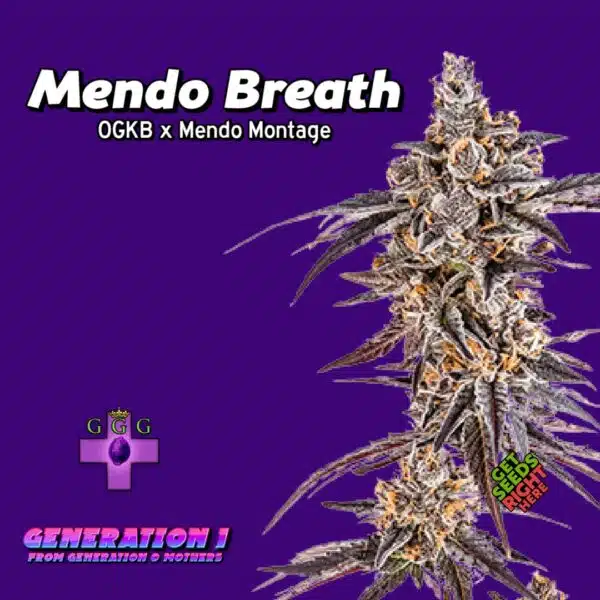 Mendo Breath Cannabis Clones