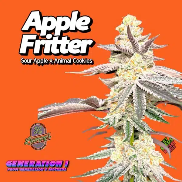 Apple Fritter (clone)