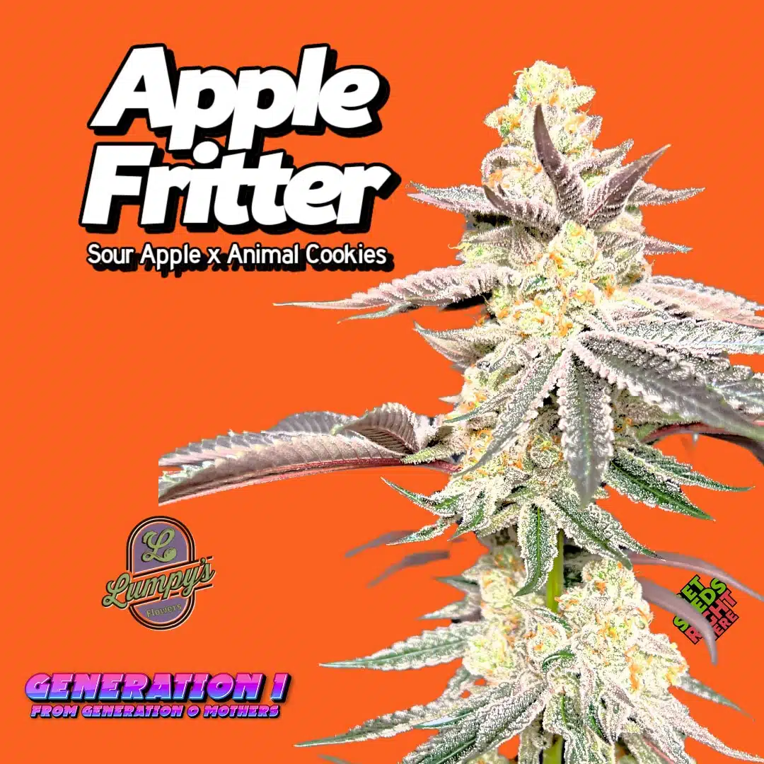 Apple Fritter (clone)