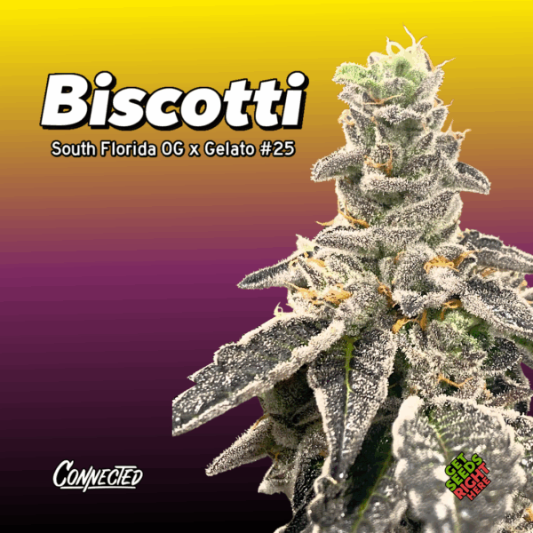 Biscotti Cannabis Clones