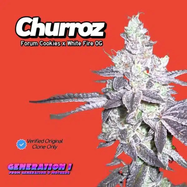 Churroz (Clone)