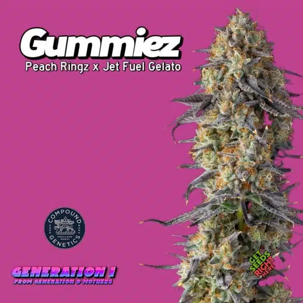Gummiez  (clone)