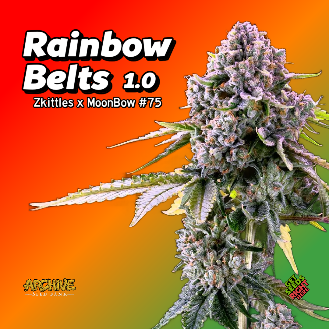Rainbow Belts 1-0 Cannabis Clones