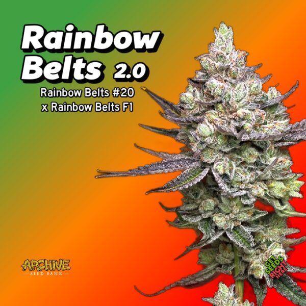 Rainbow Belts 2-0 Cannabis Clones