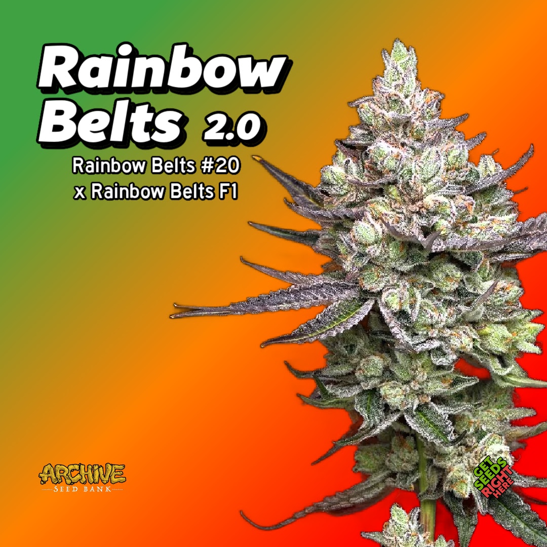 Rainbow Belts 2-0 Cannabis Clones