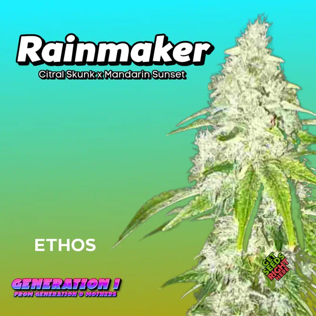 Rainmaker Cannabis Clones