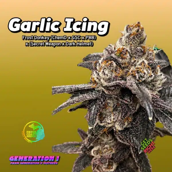 Garlic Icing Cannabis Clones