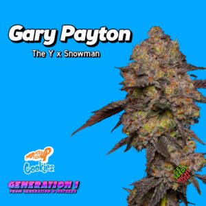 Gary Payton Cannabis Clones