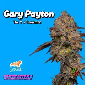 Gary Payton Cannabis Clones