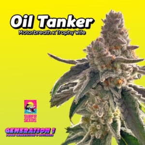 Oil Tanker Cannabis Clones