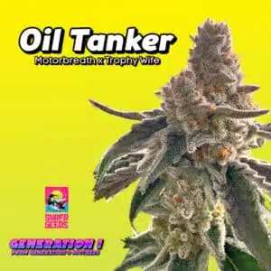 Oil Tanker Cannabis Clones